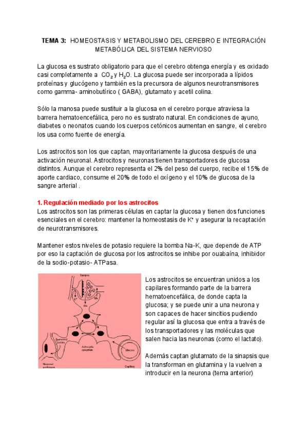 Miniatura del documento NEUROQUIMICA-Tema-3.pdf