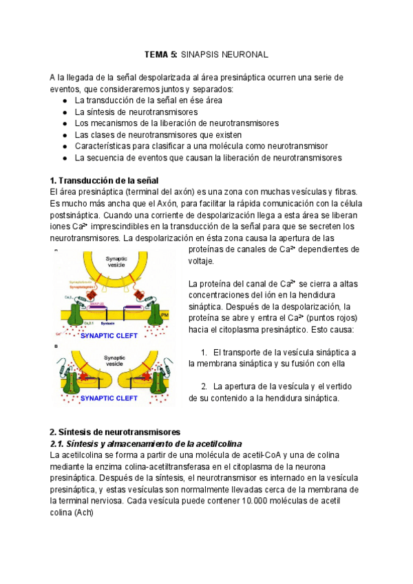 Miniatura del documento NEUROQUIMICA-Tema-5.pdf