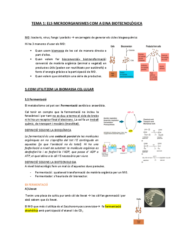 Miniatura del documento TOT-TEMARI-INDUSTRIA.pdf