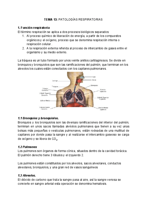 Miniatura del documento BQ-CLINICA-Y-PATOLOGIA-Tema-13.pdf