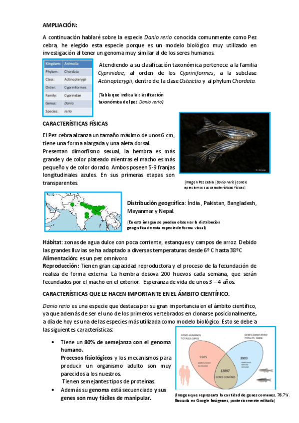 Miniatura del documento AMPLIACION-PEZ-CEBRA.pdf