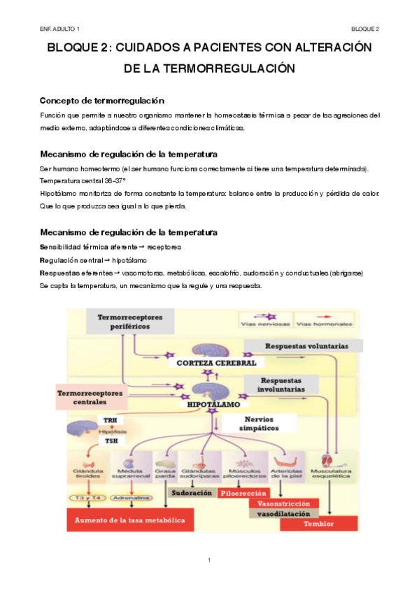 Miniatura del documento BLOQUE-2-ADULTO-I.pdf