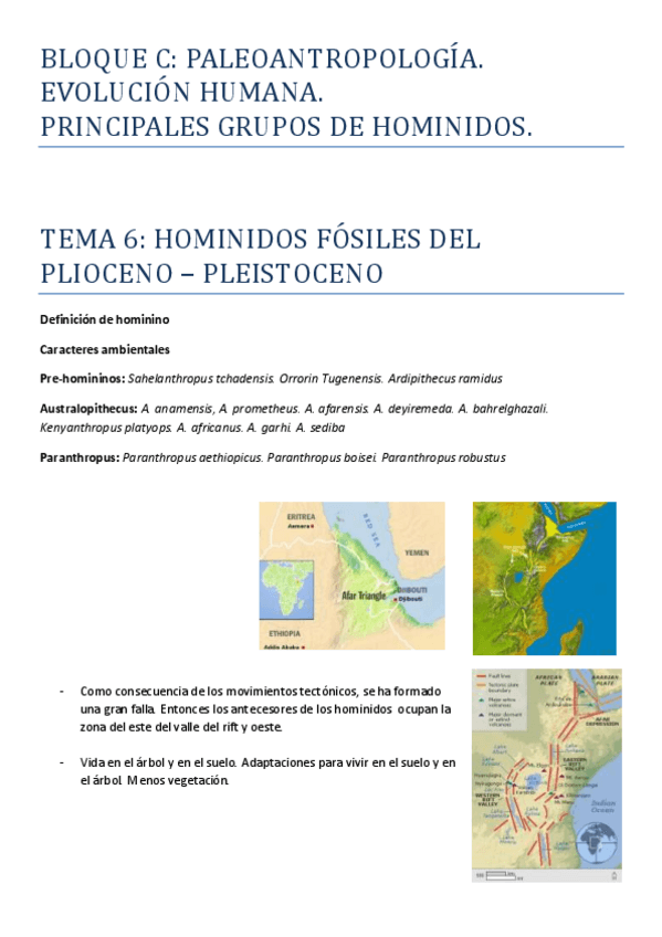 Miniatura del documento BLOQUE-C.pdf