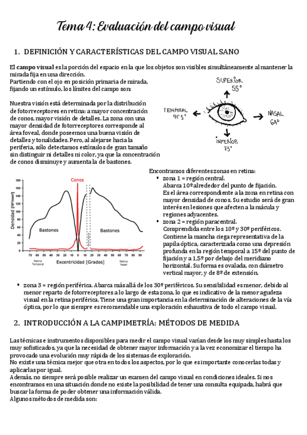 Miniatura del documento TEMA-4-campo-visual.pdf