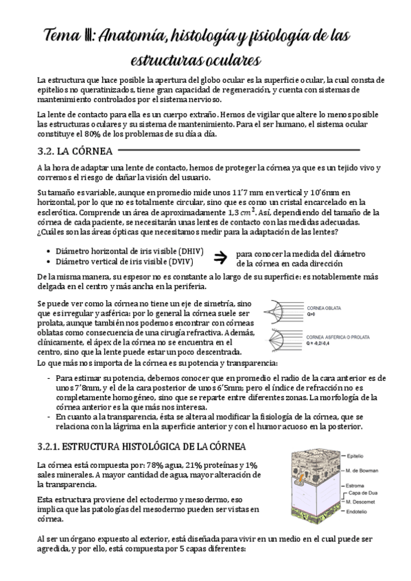 Miniatura del documento TEMA-III-anatomia-histologia-fisiologia.pdf