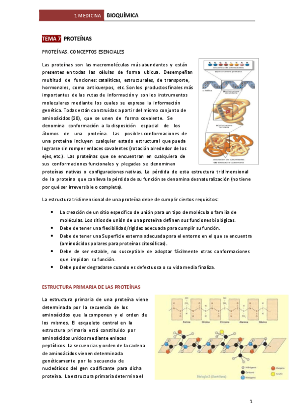 Miniatura del documento TEMA-7-PROTEINAS.pdf