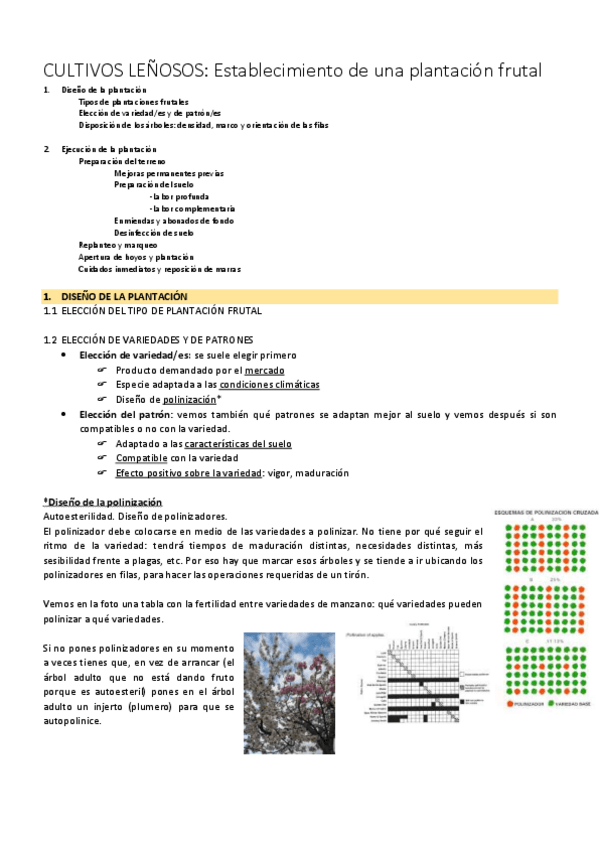 Miniatura del documento Lenososplantacion.pdf