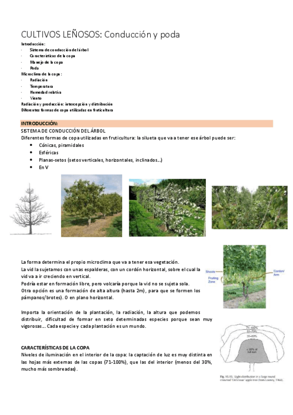 Miniatura del documento LenososConduccion-y-poda.pdf