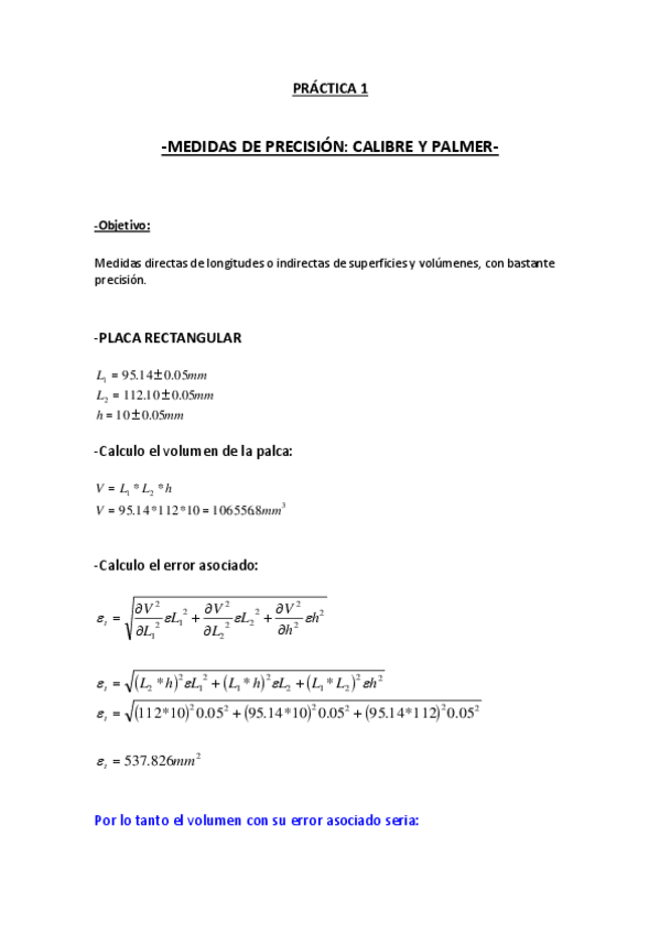 Miniatura del documento P1.HECHA.pdf