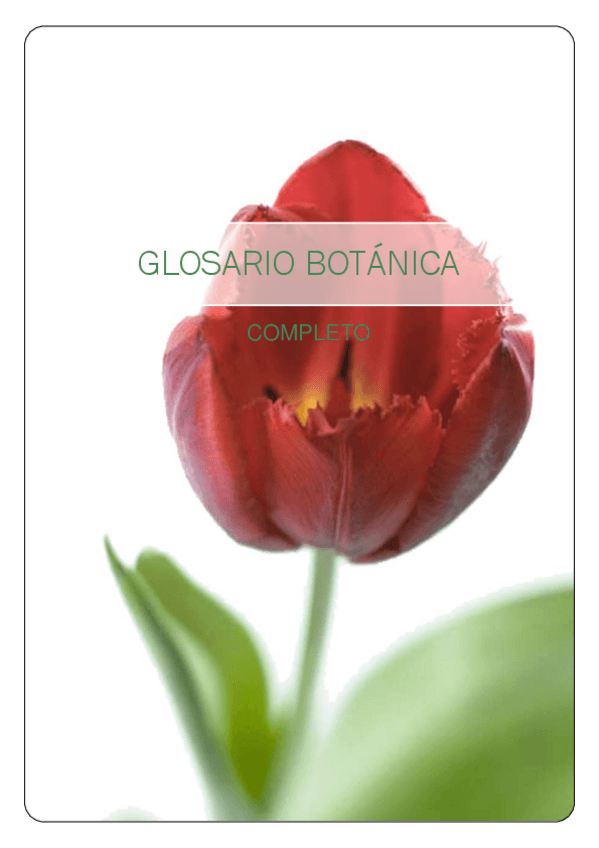 Miniatura del documento GLOSARIO-BOTANICA.pdf