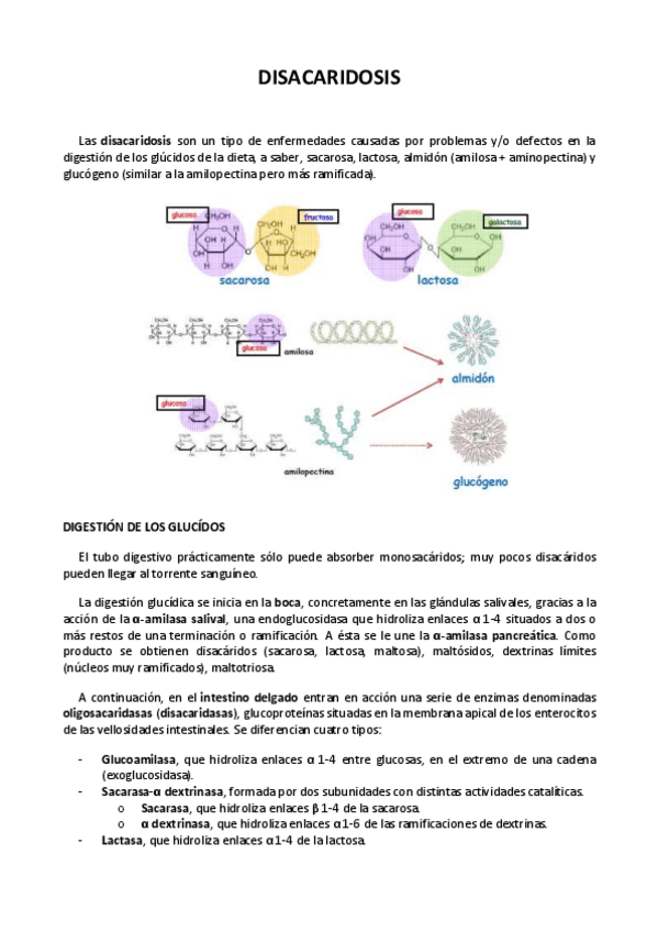 Miniatura del documento 1.pdf