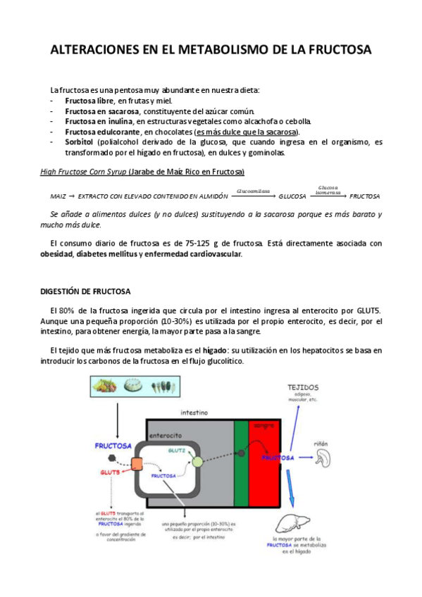 Miniatura del documento 2.pdf