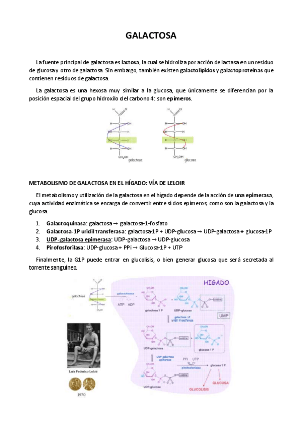 Miniatura del documento 3.pdf