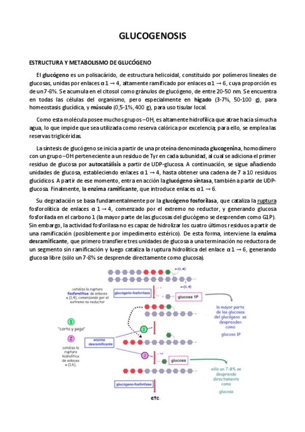 Miniatura del documento 4.pdf