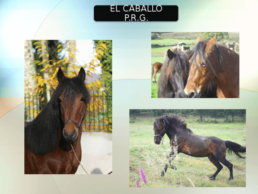 Miniatura del documento 3.pptx