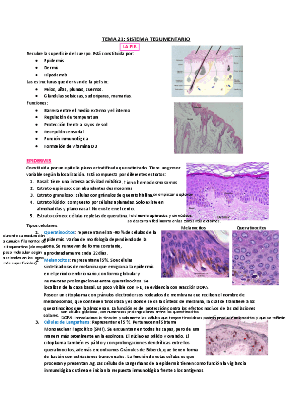 Miniatura del documento Segundo-Cuatrimestre.pdf