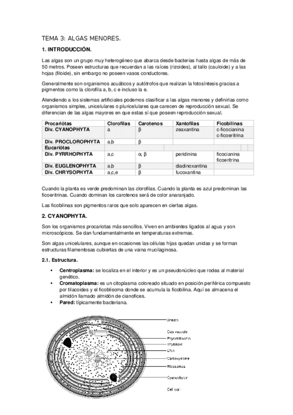 Miniatura del documento TEMA-3.docx