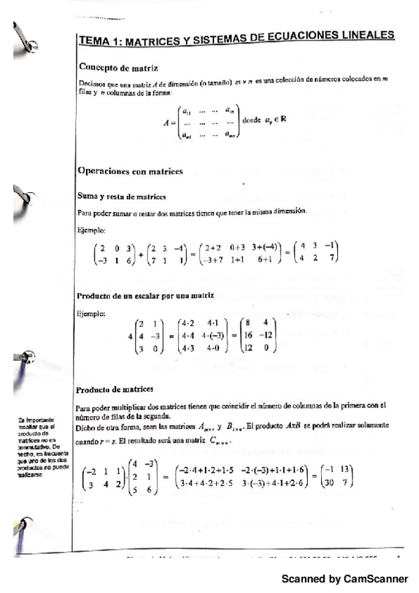 Miniatura del documento apuntes-montero.pdf