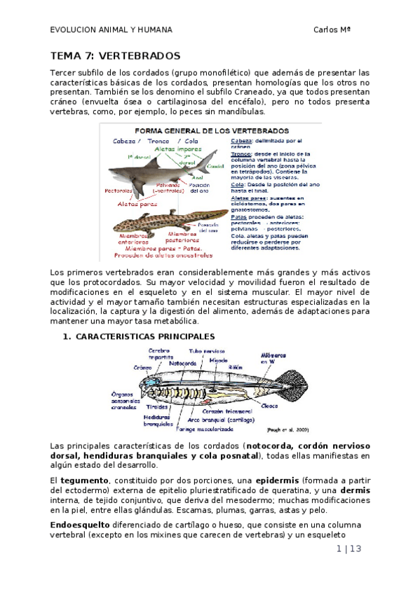 Miniatura del documento TEMA-7.docx