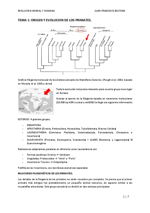 Miniatura del documento TEMA-1.pdf