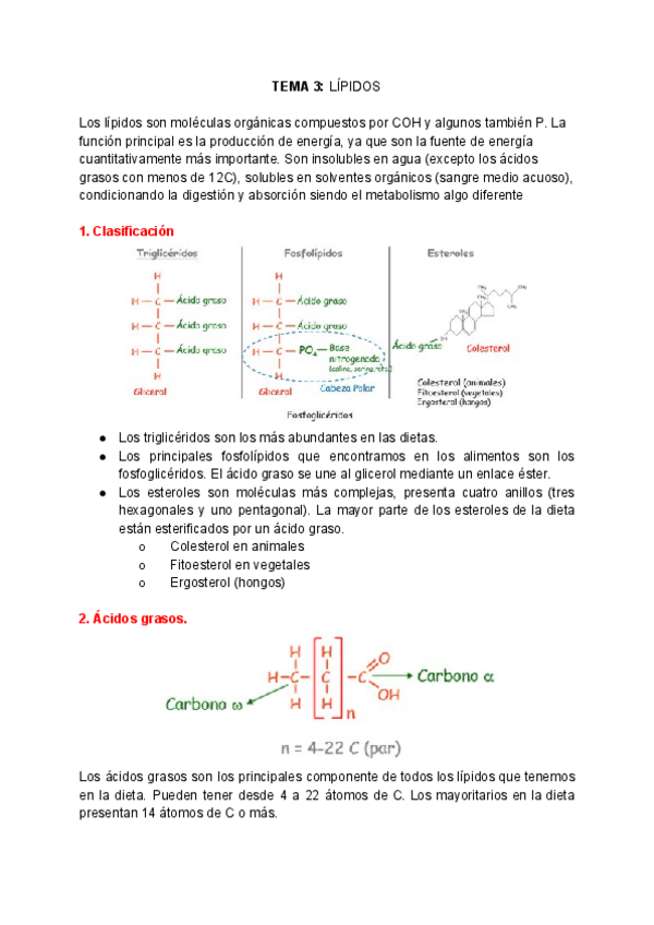 Miniatura del documento NUTRICION-Tema-3.pdf