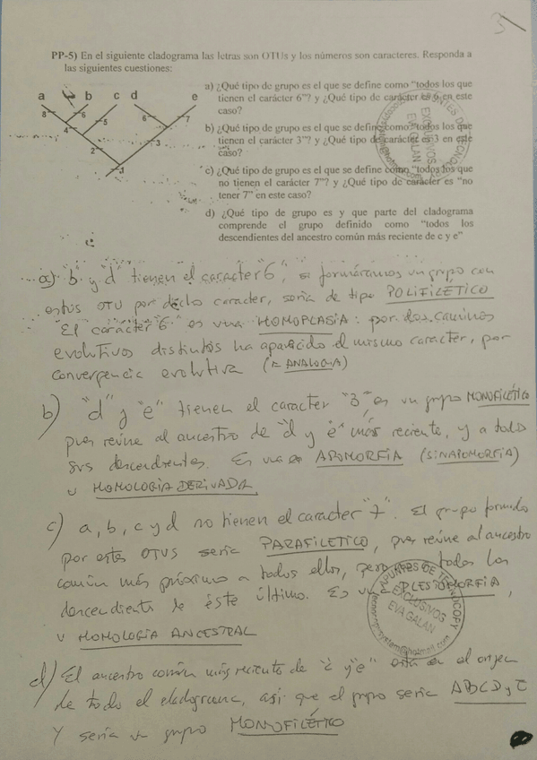 Miniatura del documento IMG_20160622_123628.jpg