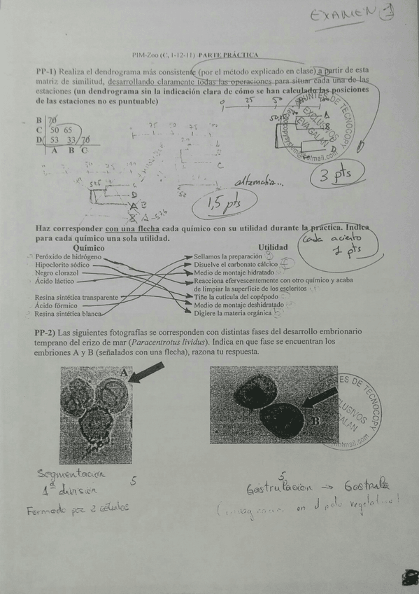 Miniatura del documento IMG_20160622_123658.jpg