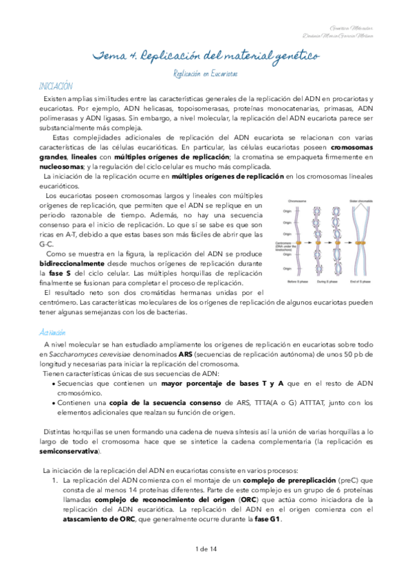 Miniatura del documento Tema-4-genetica-molecular.pdf