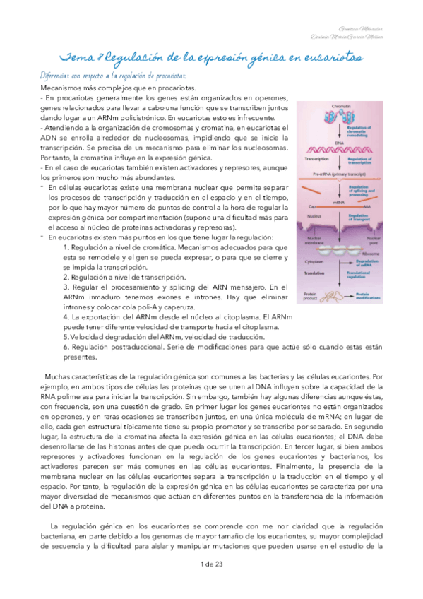 Miniatura del documento TEMA-8-GENETICA-MOLECULAR.pdf