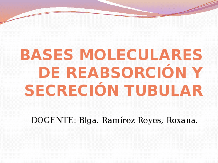 Miniatura del documento Bases-moleculares-de-la-filtracion-renal-reabsorcion.pptx