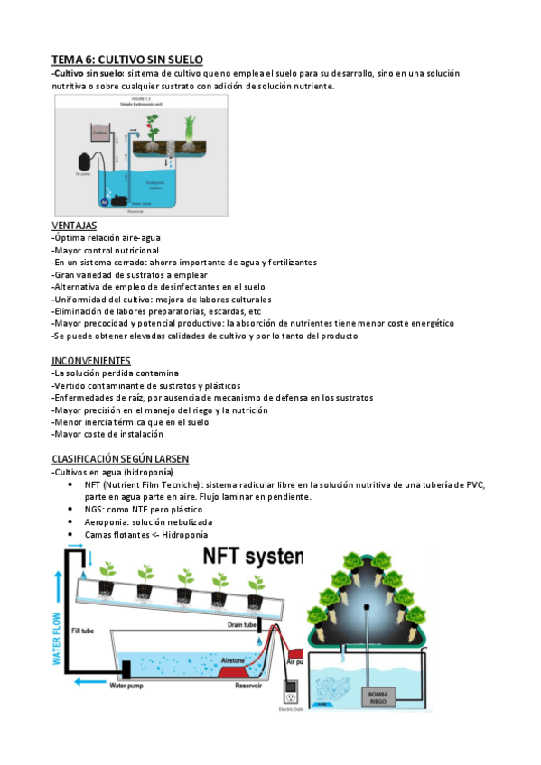 Miniatura del documento Tema-6-HCO.pdf