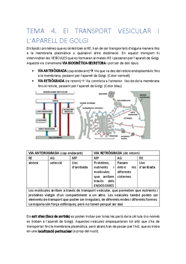 Miniatura del documento 4.pdf