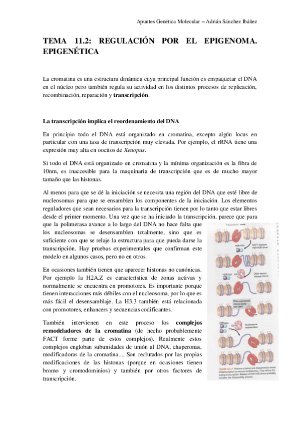 Miniatura del documento TEMA-11.pdf