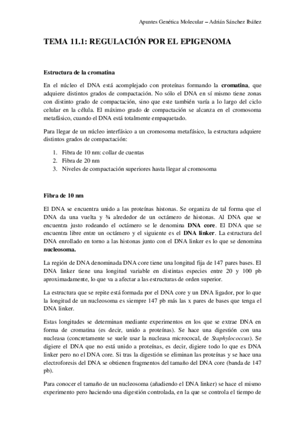 Miniatura del documento TEMA-11.pdf