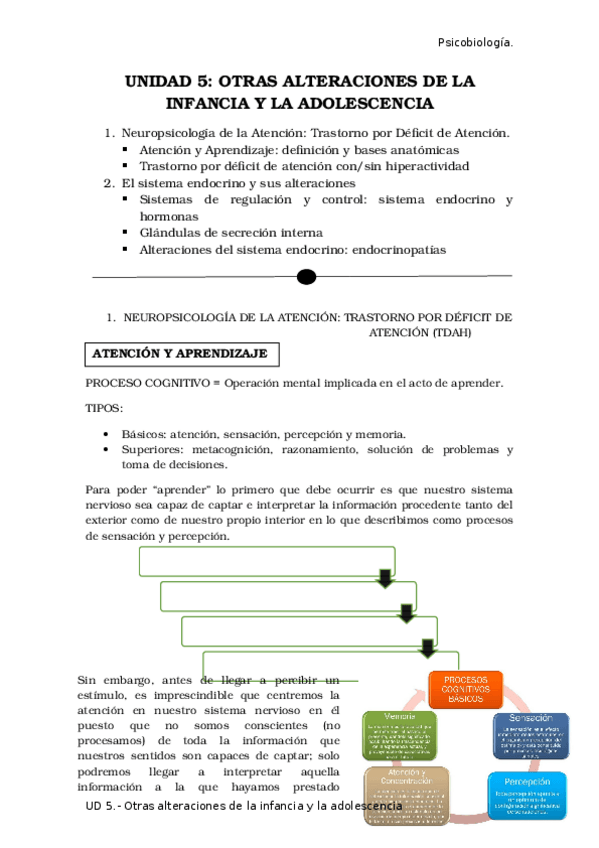 Miniatura del documento UNIDAD-5.docx