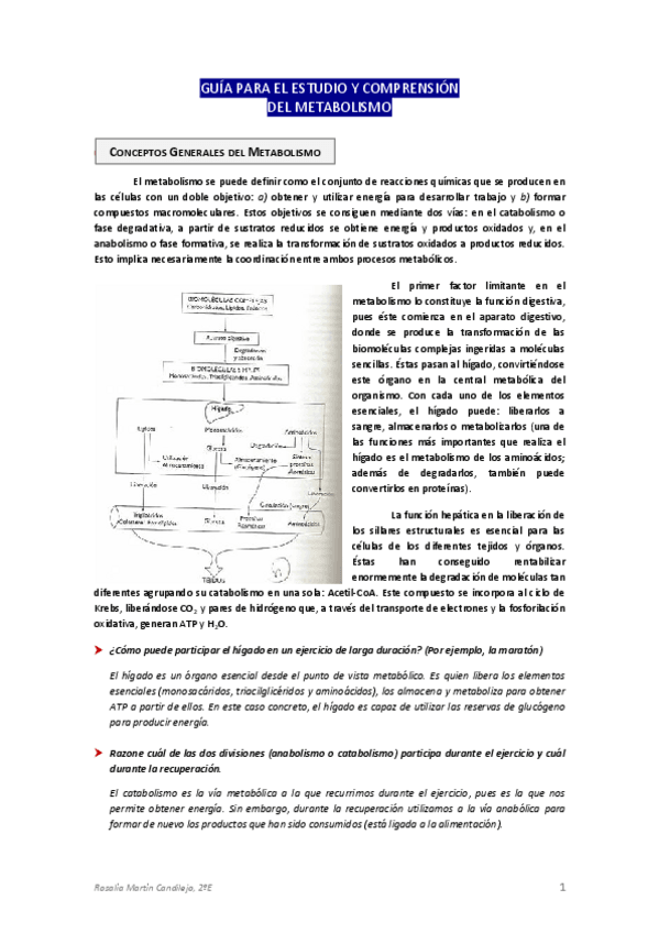 Miniatura del documento Metabolismo.pdf
