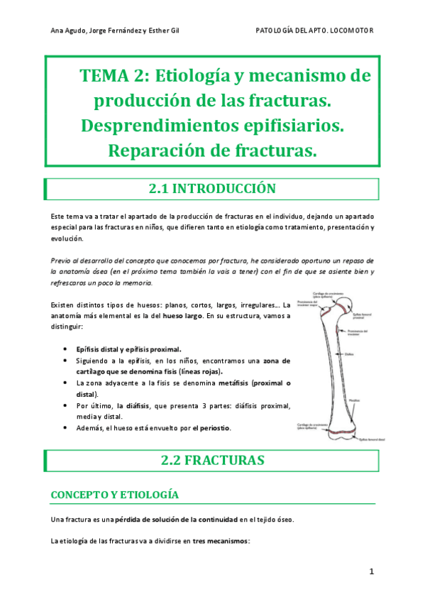 Miniatura del documento TEMA-2.pdf