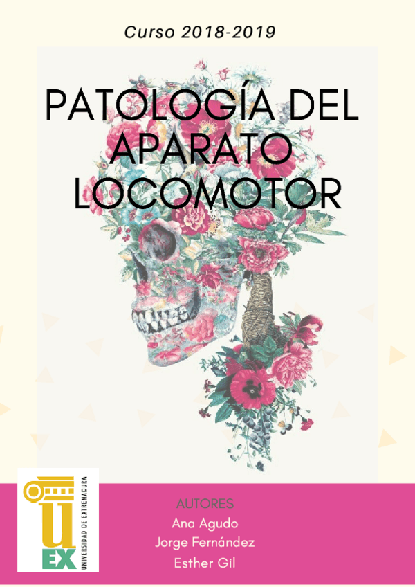 Miniatura del documento PORTADA-TRAUMA.pdf