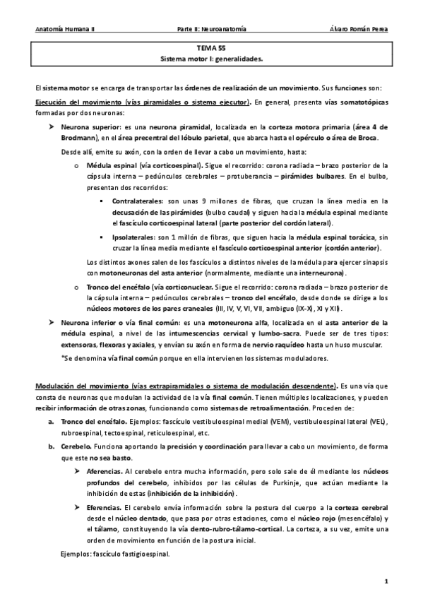 Miniatura del documento Anatomia.pdf