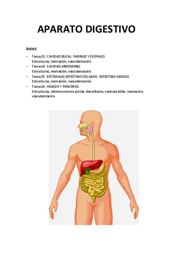 Miniatura del documento Anatomia-APARATO-DIGESTIVO.pdf