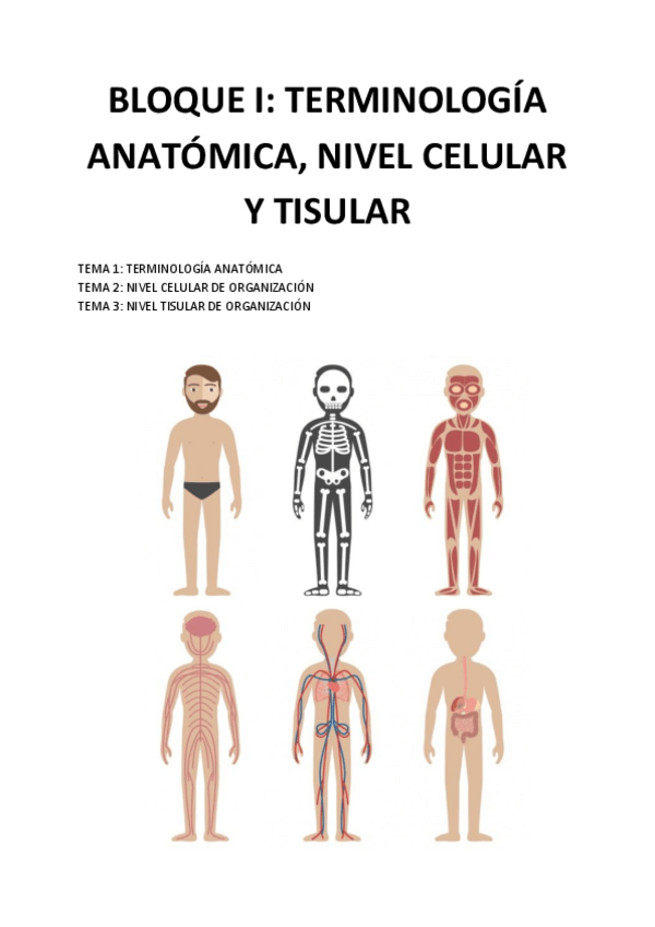Miniatura del documento Anatomia-TERMINOLOGIA-ANATOMICA-NIVEL-CELULAR-Y-TISULAR.pdf