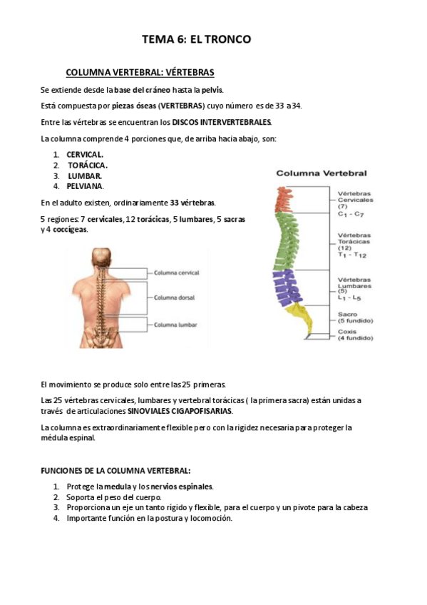 Miniatura del documento Anatomia-T6.pdf