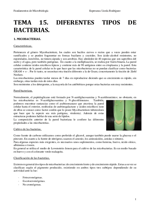 Miniatura del documento TEMA-15.pdf