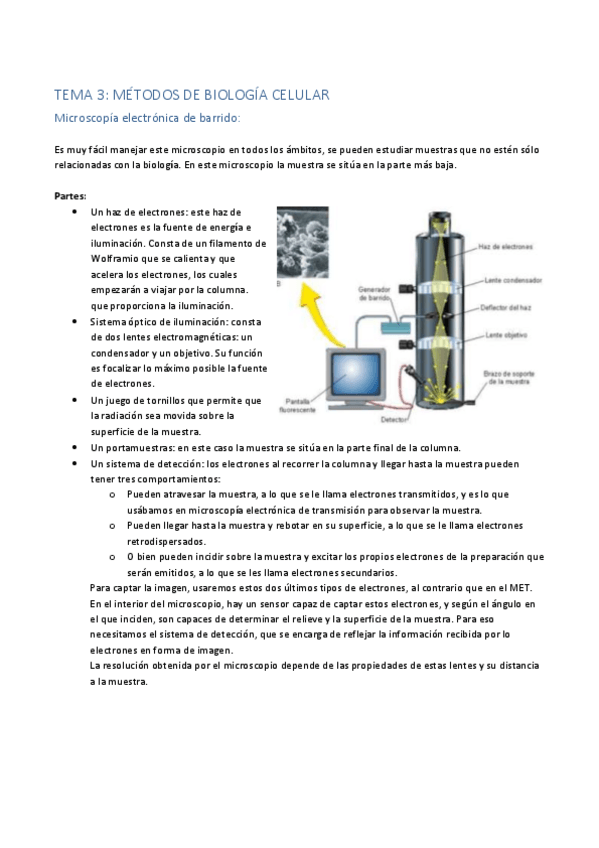 Miniatura del documento Tema-3.pdf