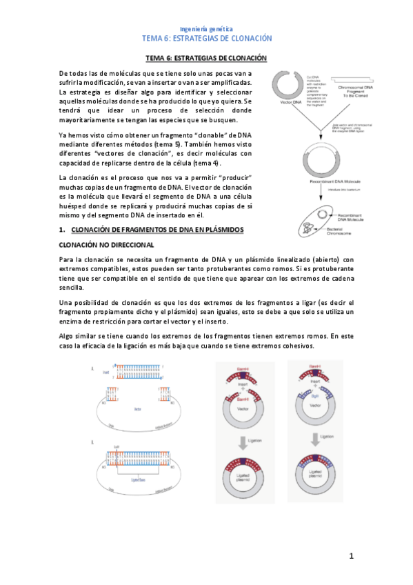 Miniatura del documento tena-6.pdf