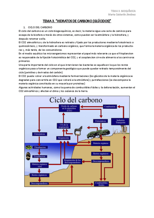 Miniatura del documento TEMA-3.pdf