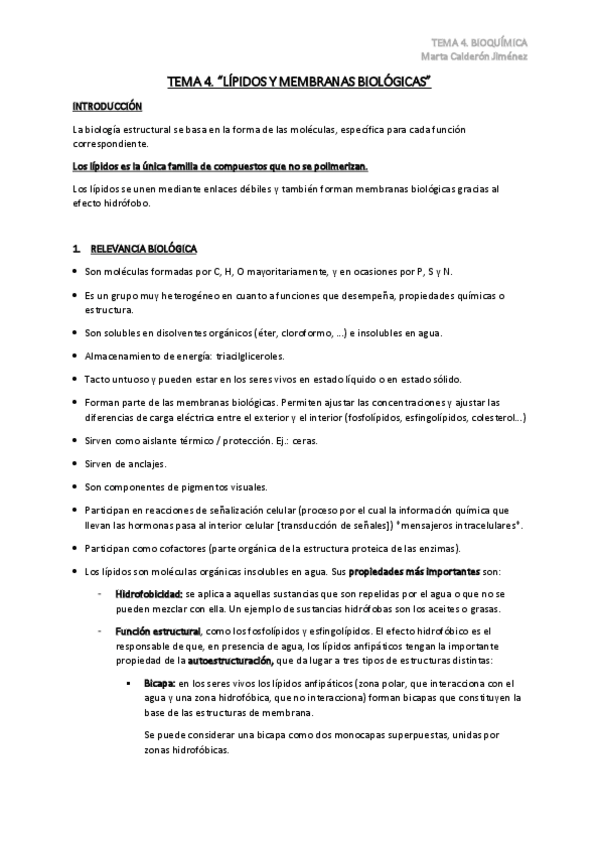 Miniatura del documento TEMA-4.pdf