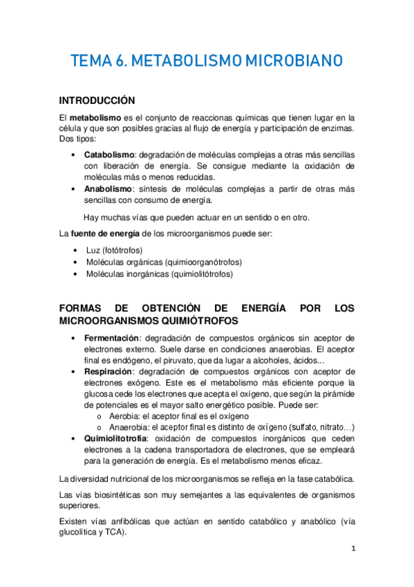 Miniatura del documento TEMA-6.pdf