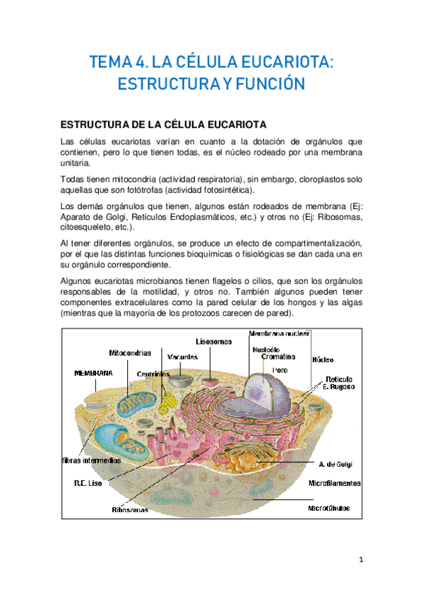 Miniatura del documento TEMA-4.pdf