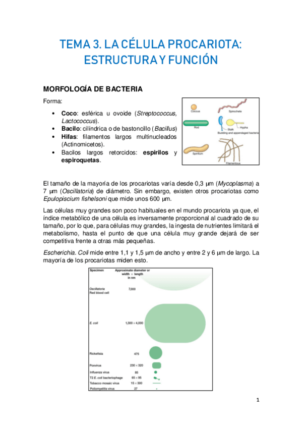 Miniatura del documento TEMA-3.pdf